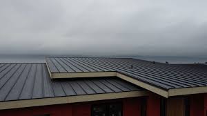 Best Metal Roofing Installation  in Sidney, OH